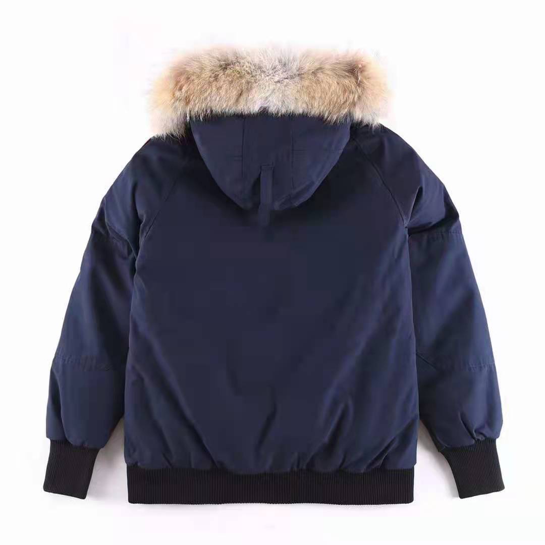 Canada Goose