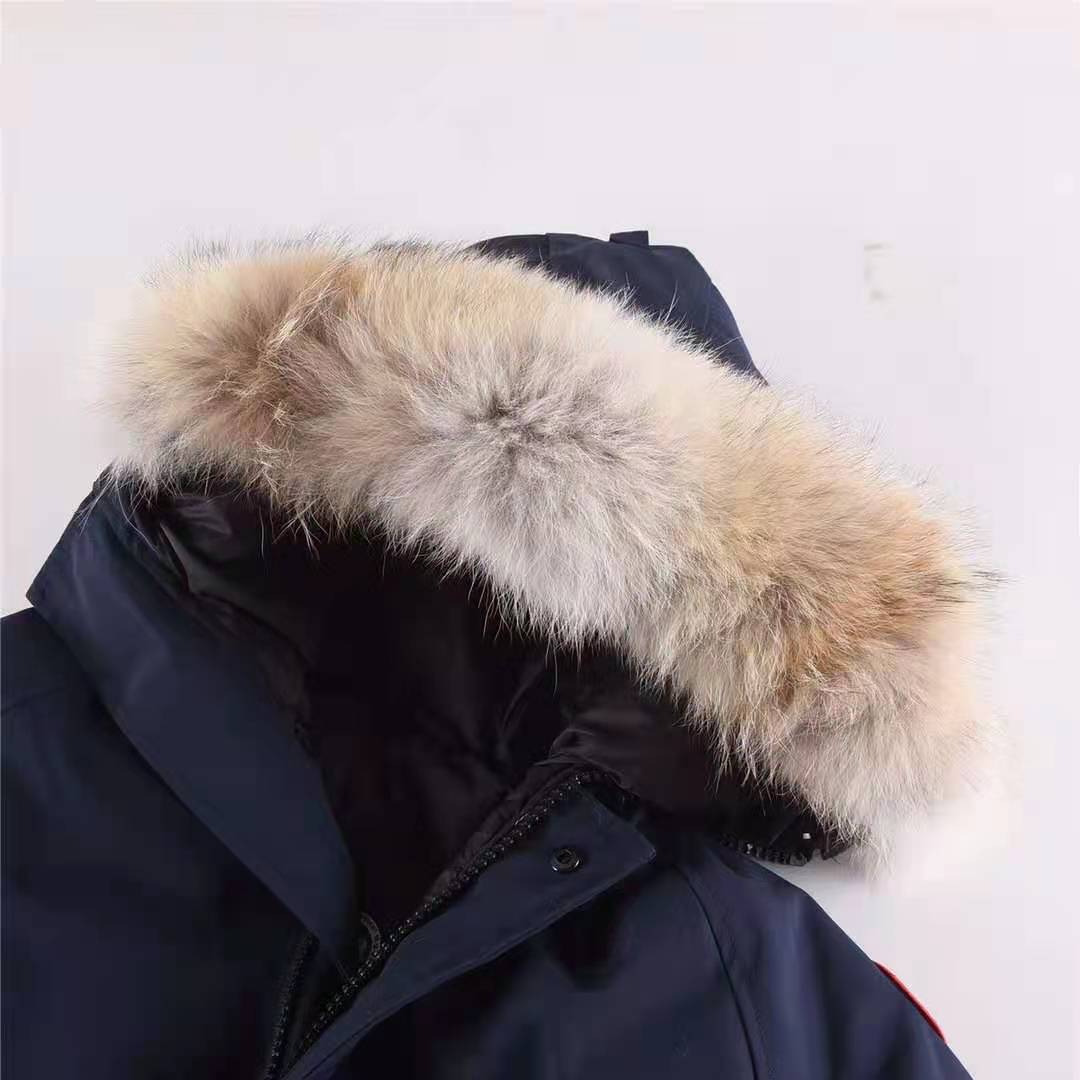 Canada Goose
