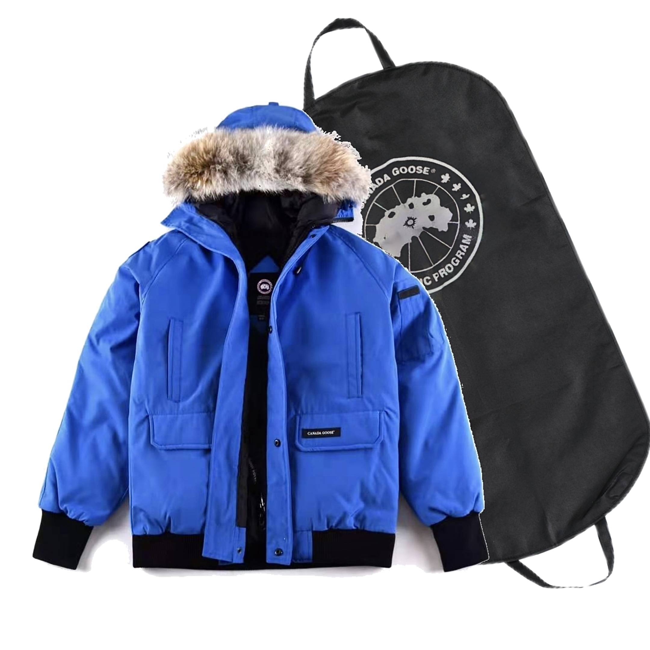 Canada Goose