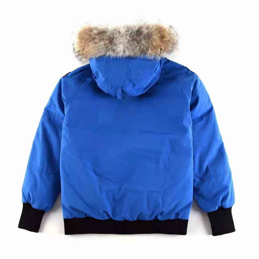 Canada Goose