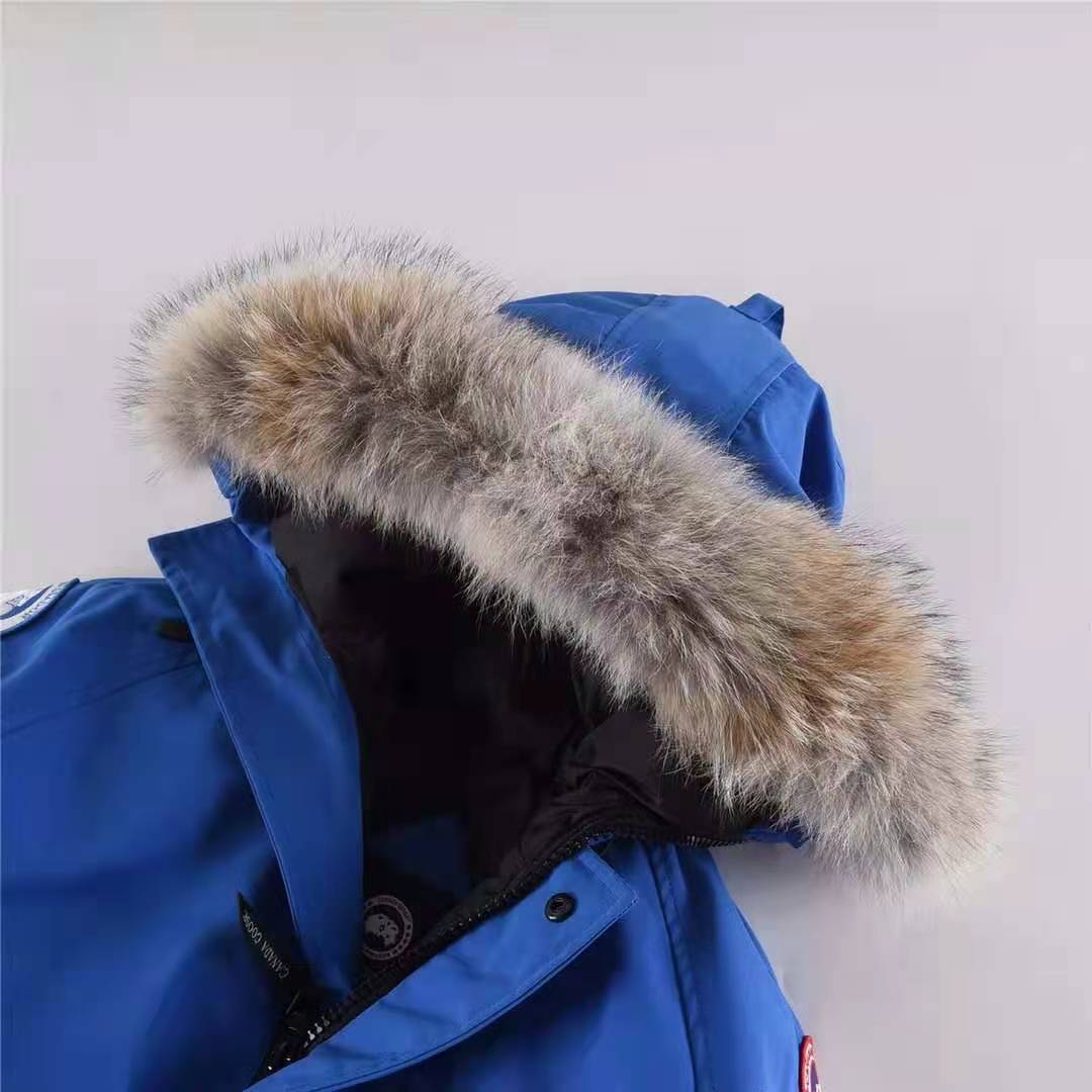 Canada Goose