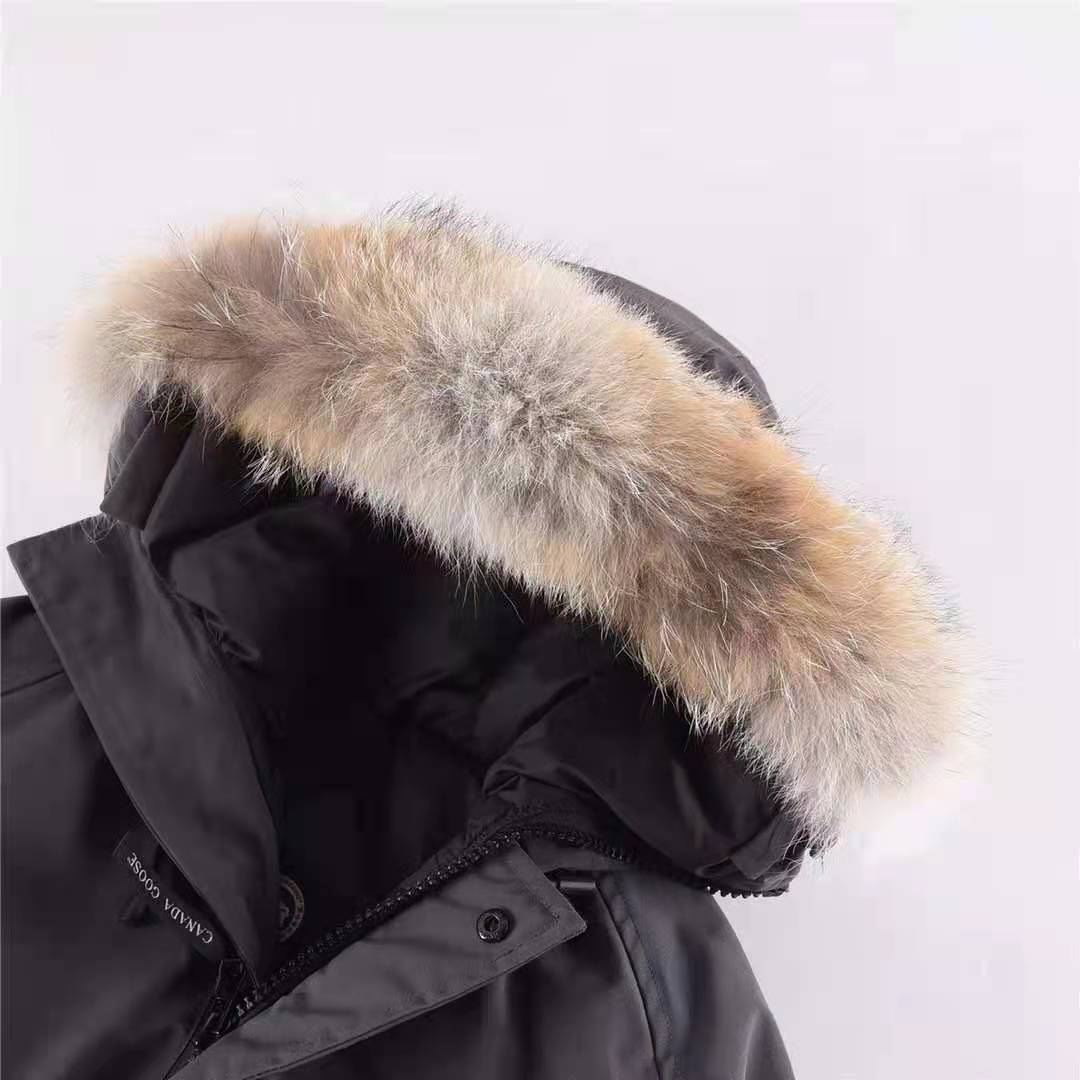 Canada Goose