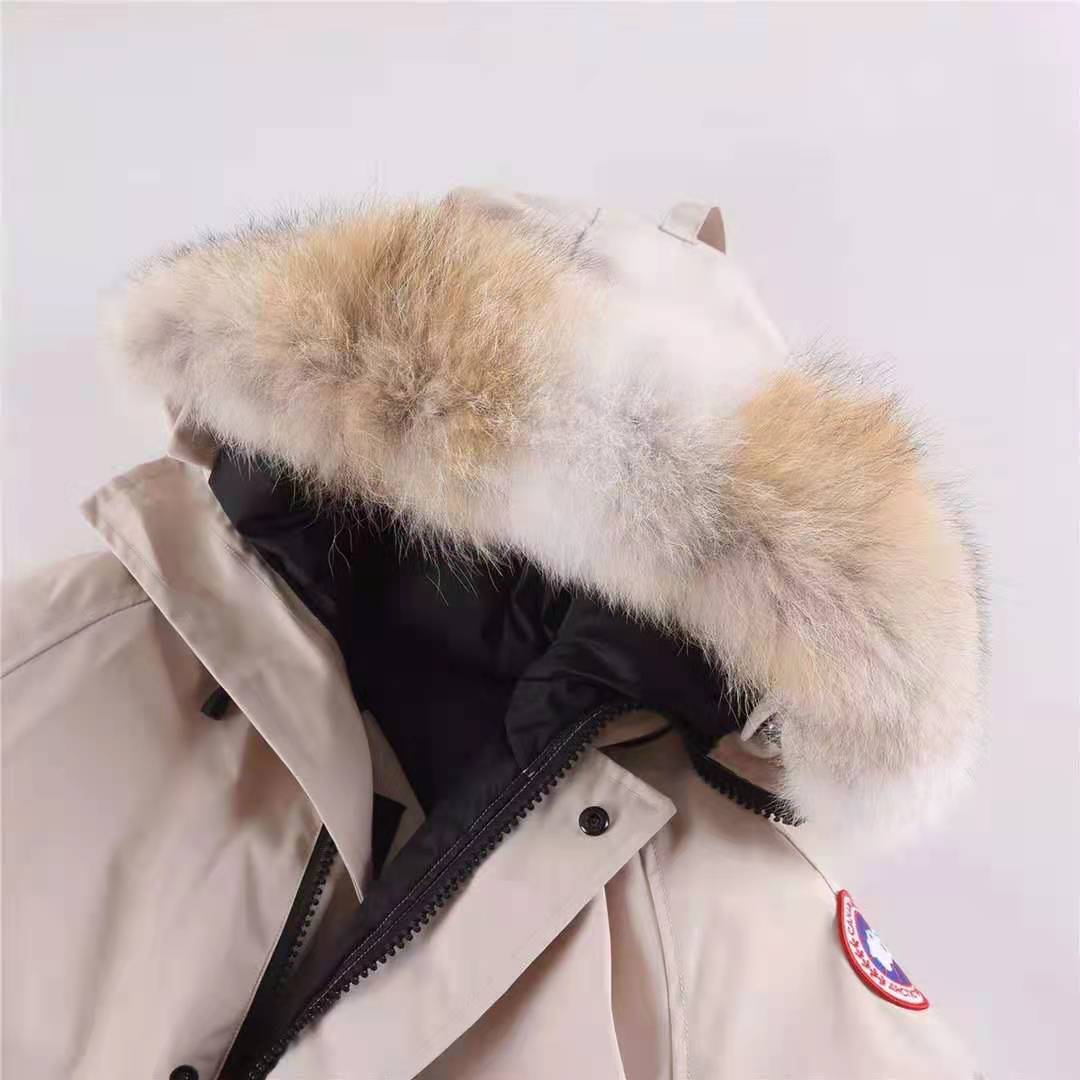 Canada Goose