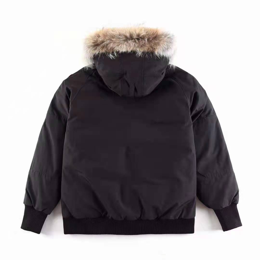 Canada Goose