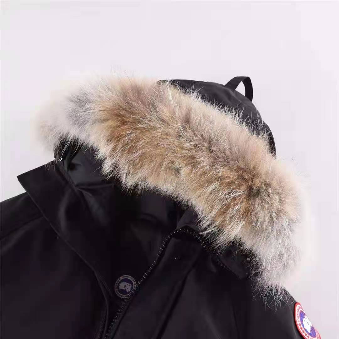 Canada Goose