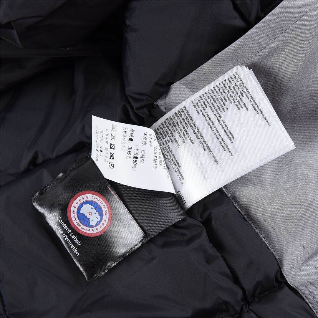 Canada Goose