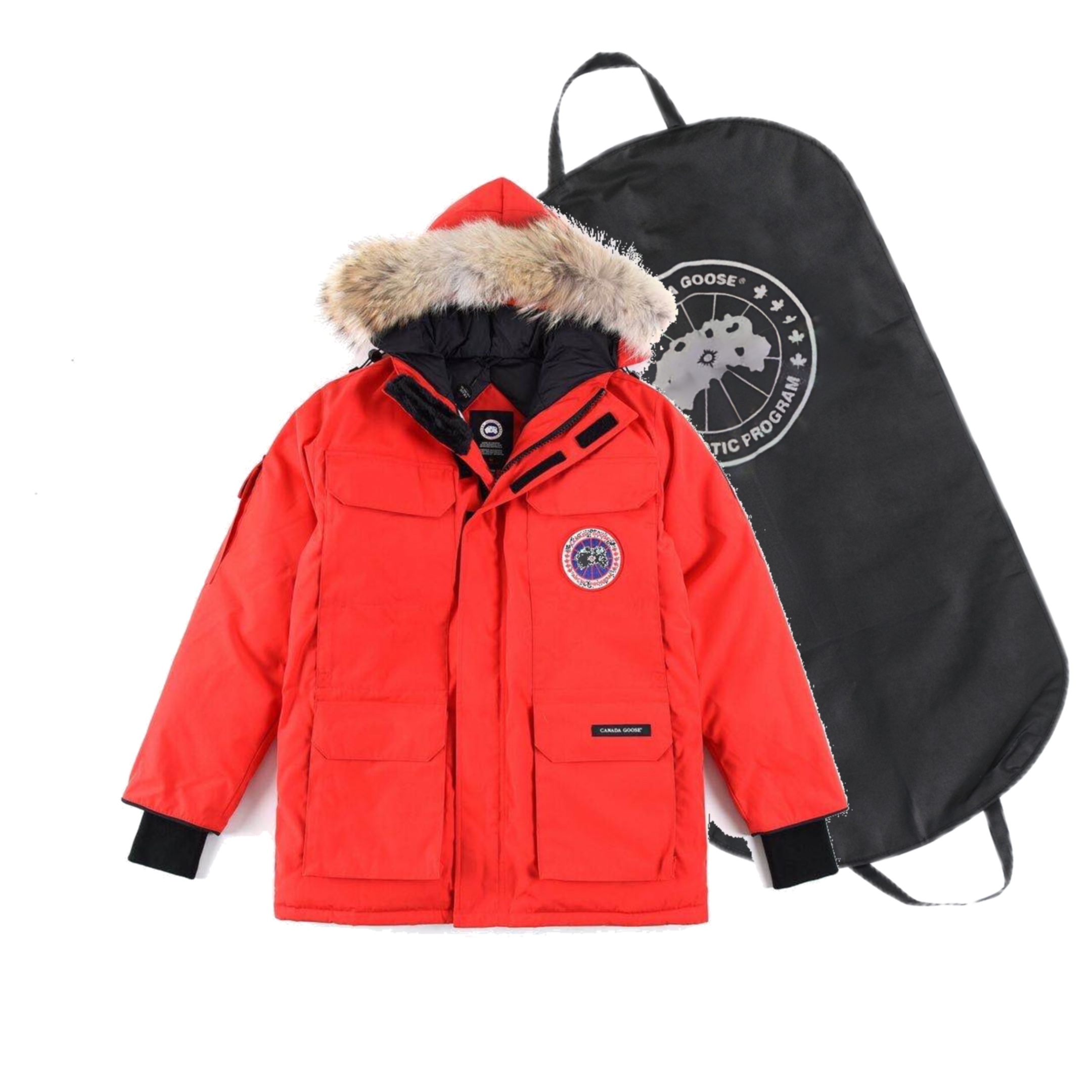 Canada Goose