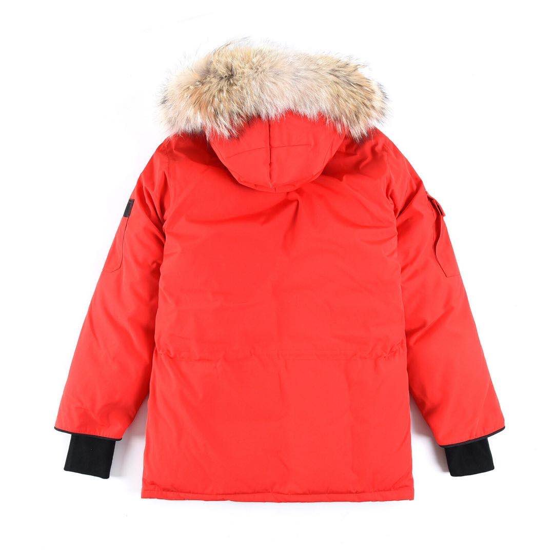 Canada Goose