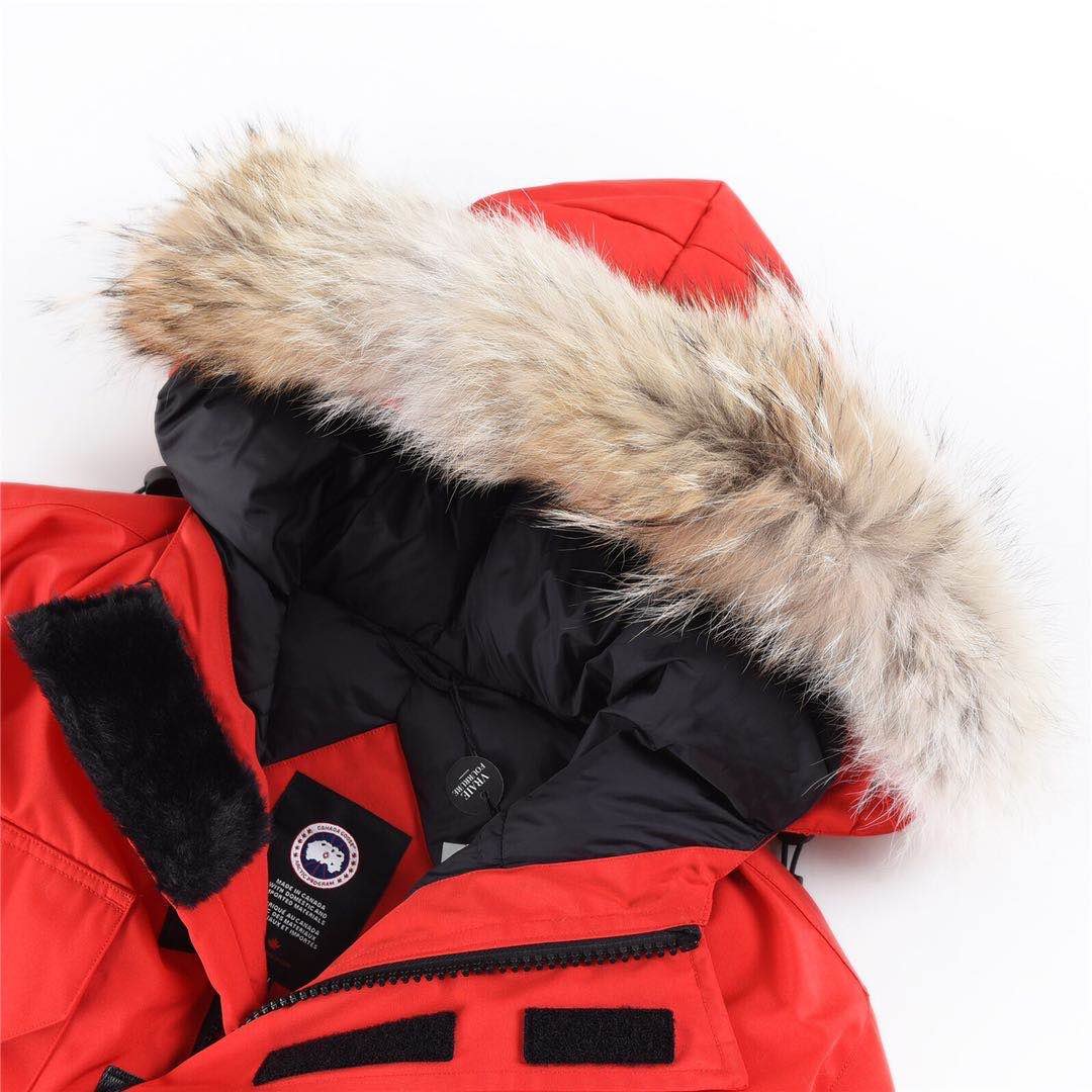 Canada Goose