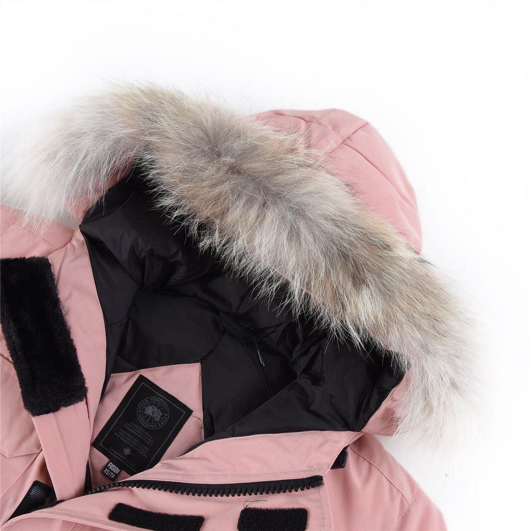Canada Goose