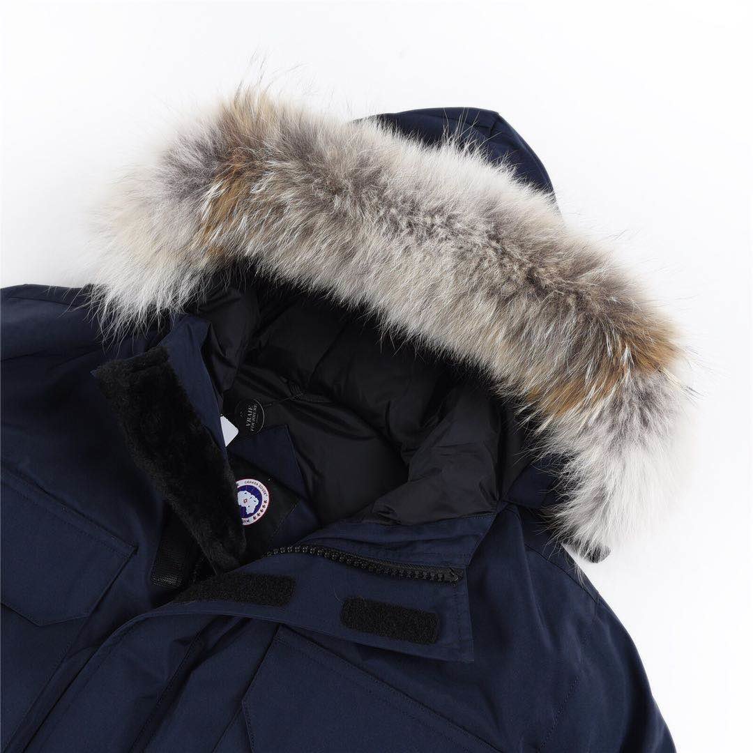 Canada Goose