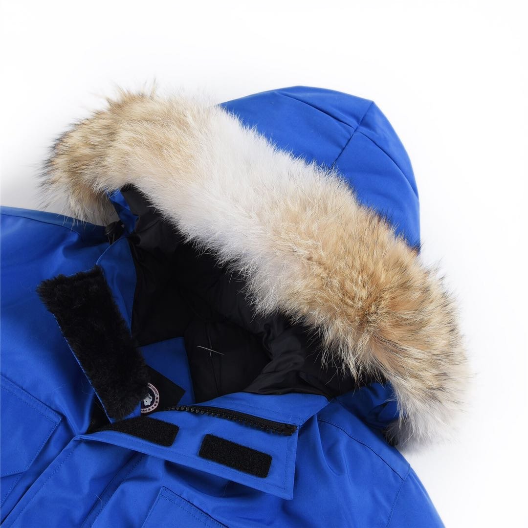Canada Goose