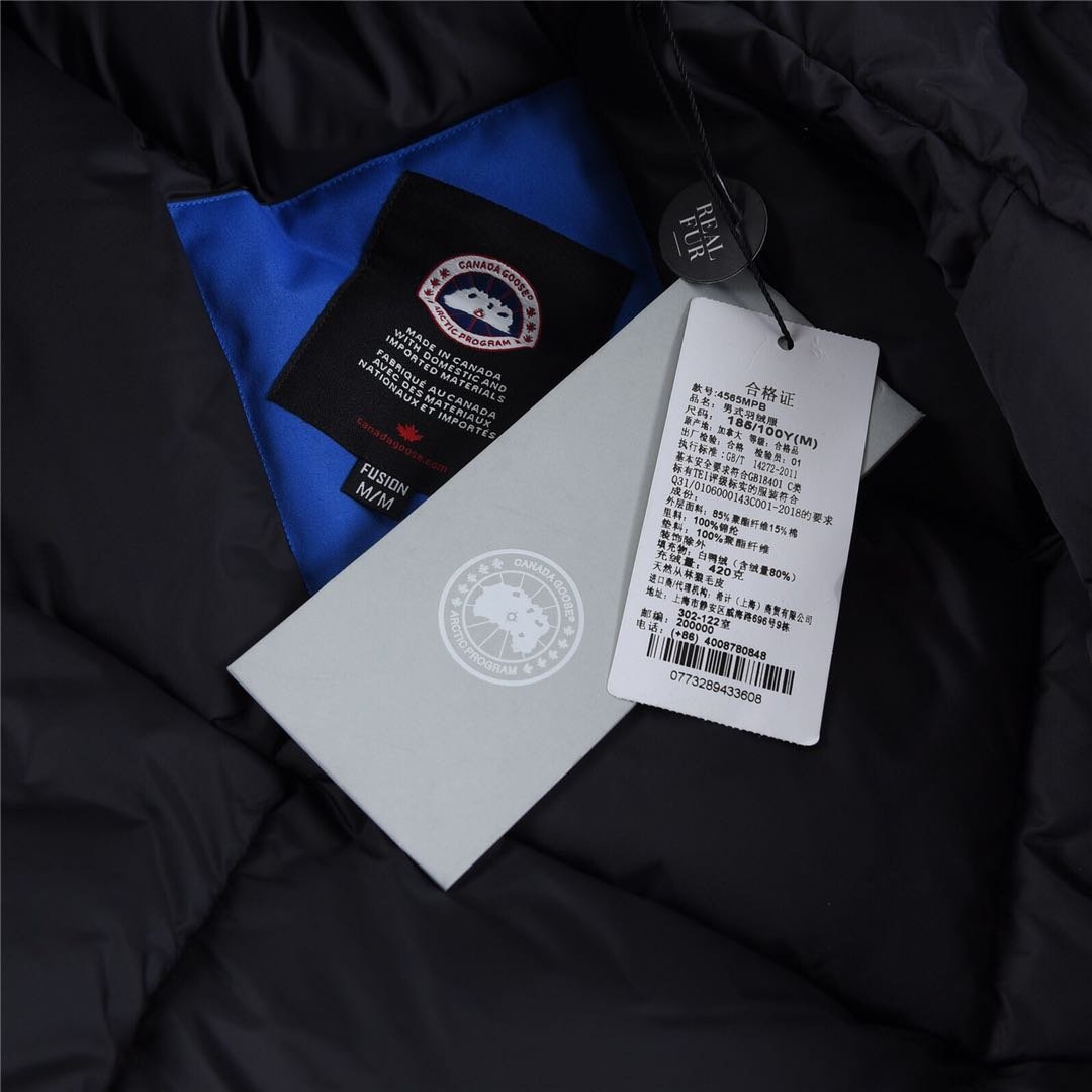 Canada Goose